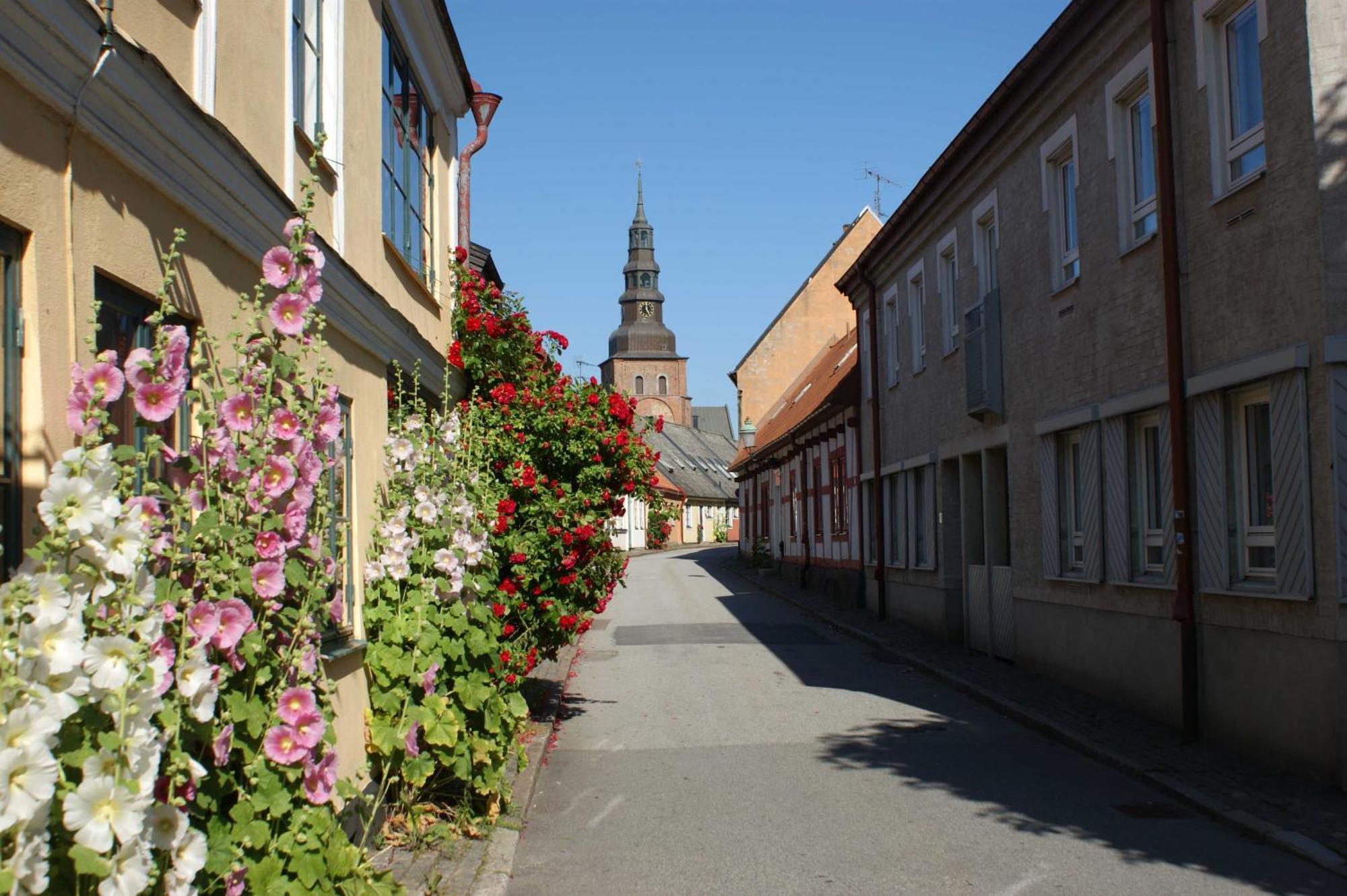 Ystad Camping Екстериор снимка